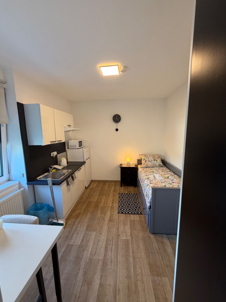 Pronájem bytu 1+kk 40 m², Praha – náhled fotky 8