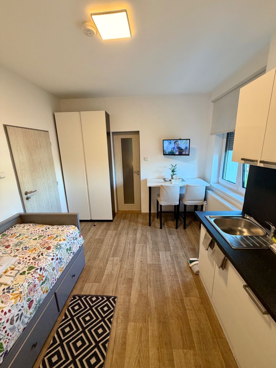 Pronájem bytu 1+kk 40 m², Praha – náhled fotky 2