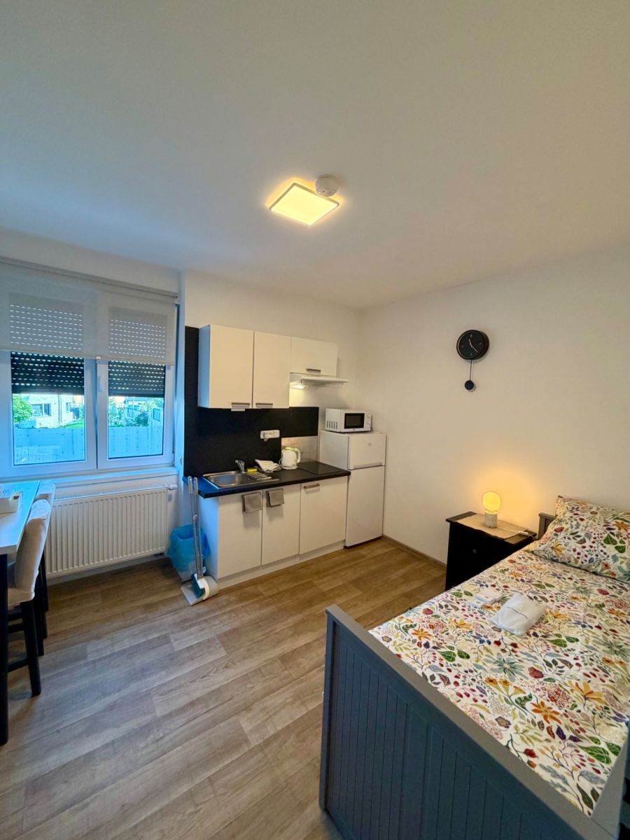 Pronájem bytu 1+kk 40 m², Praha – náhled fotky 3
