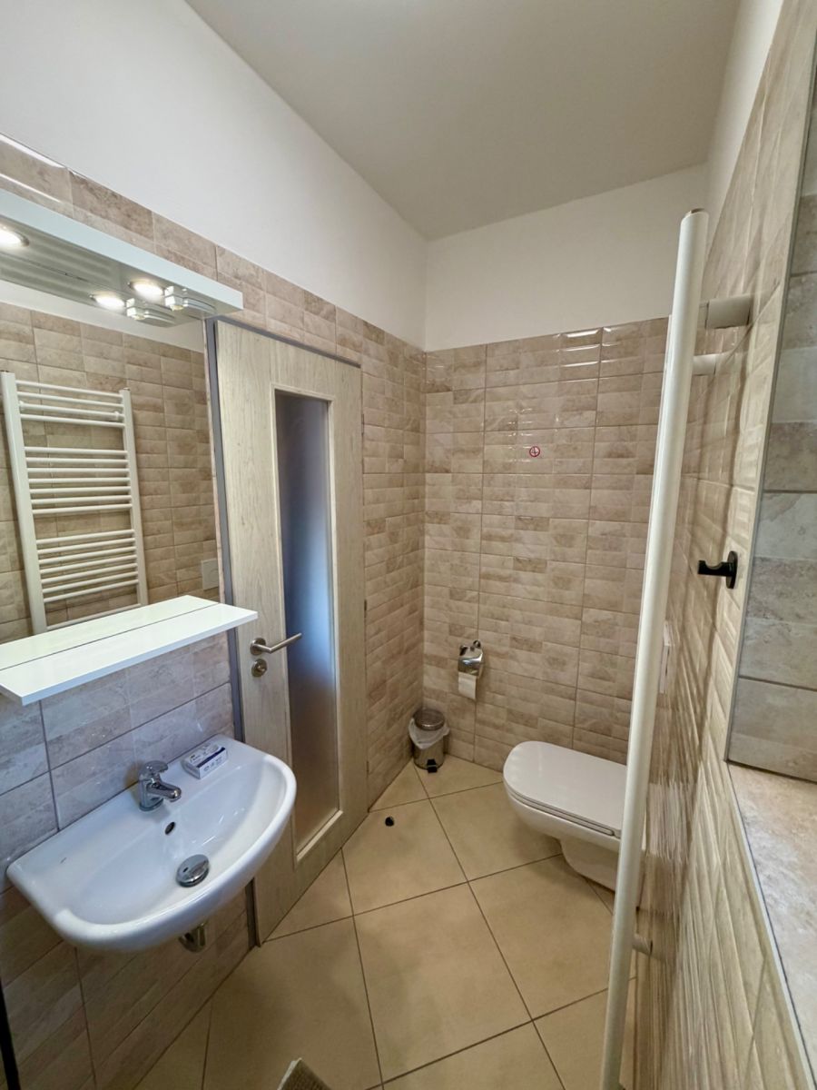 Pronájem bytu 1+kk 40 m², Praha – náhled fotky 7