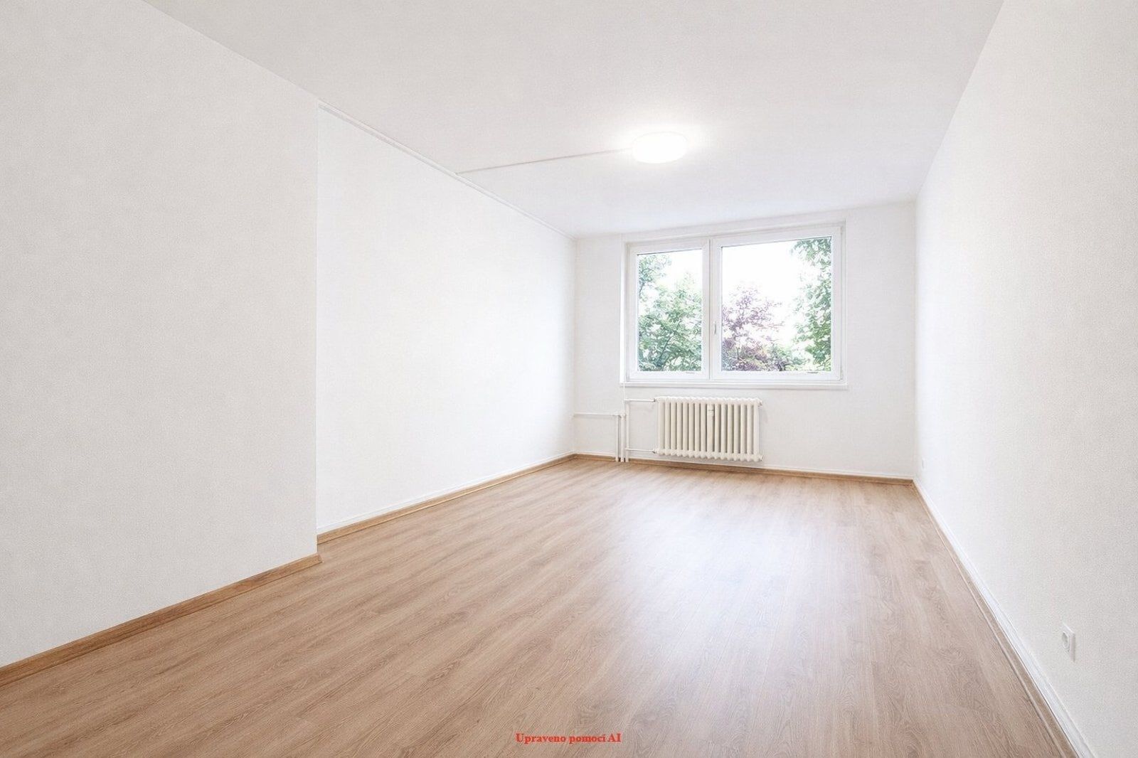 Fotka 8 z 12