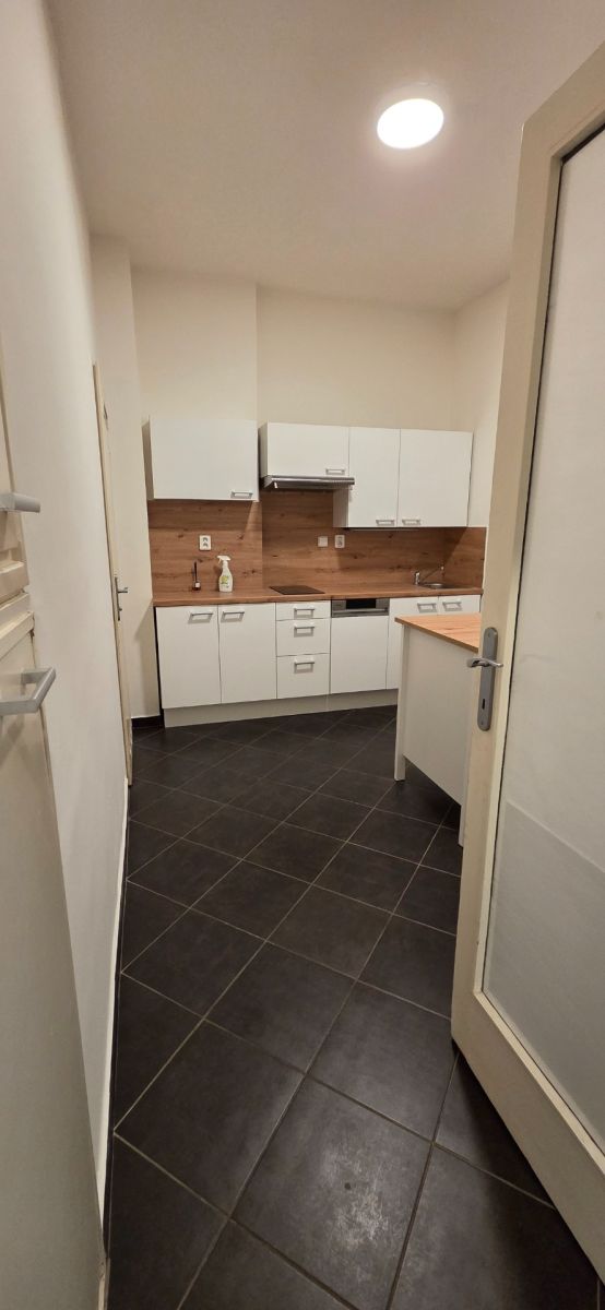 Pronájem bytu 2+1 56 m², Praha – náhled fotky 3