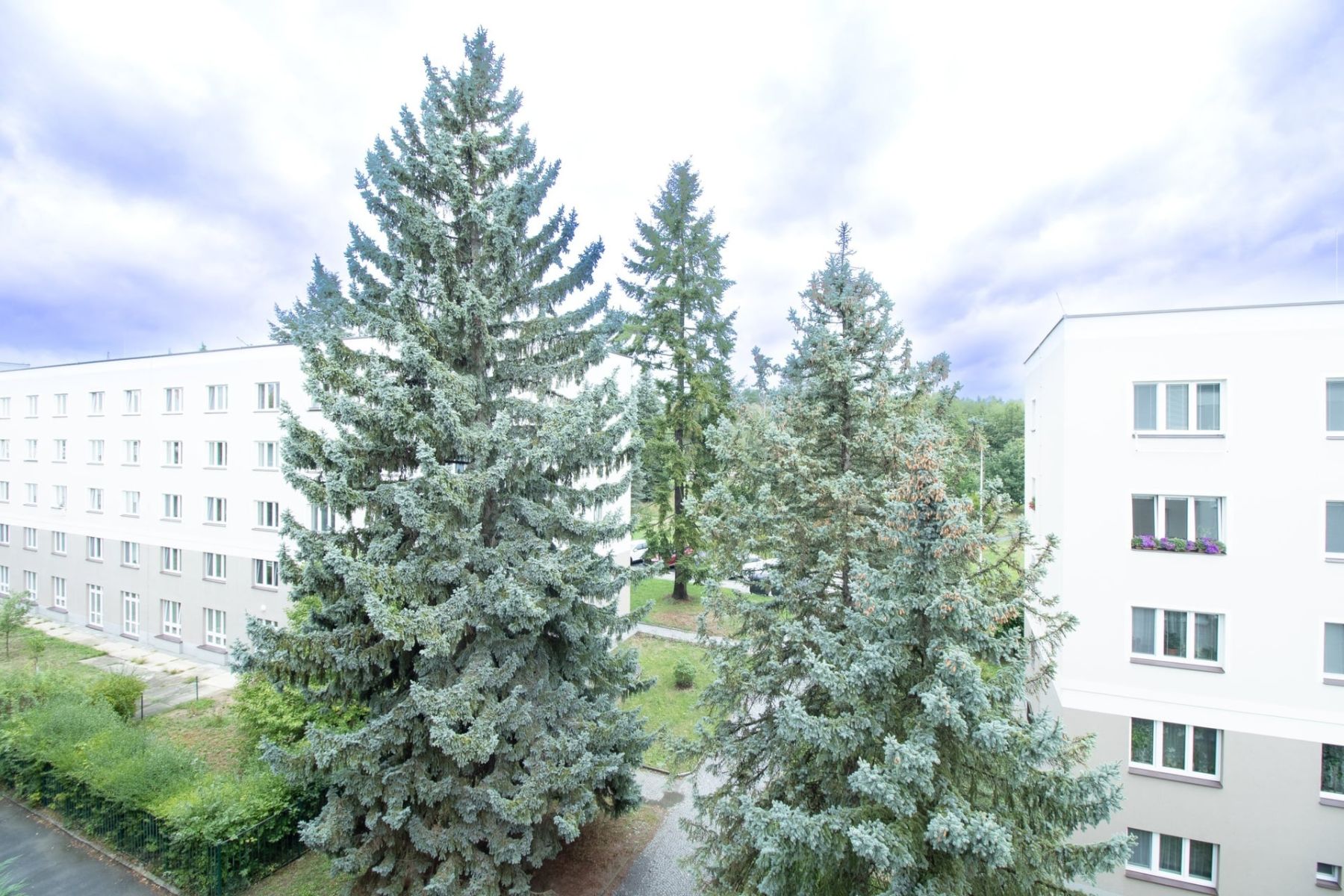 Pronájem bytu 2+1 53 m², Praha – náhled fotky 17
