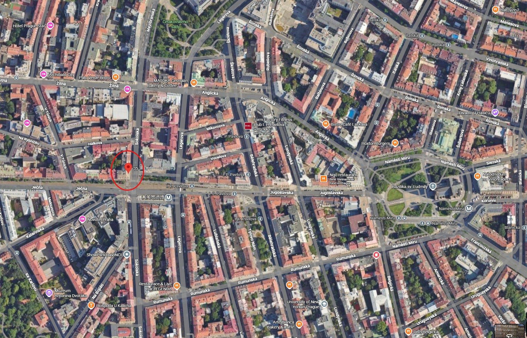 Sokolská, Praha - Nové Město – fotografie 2