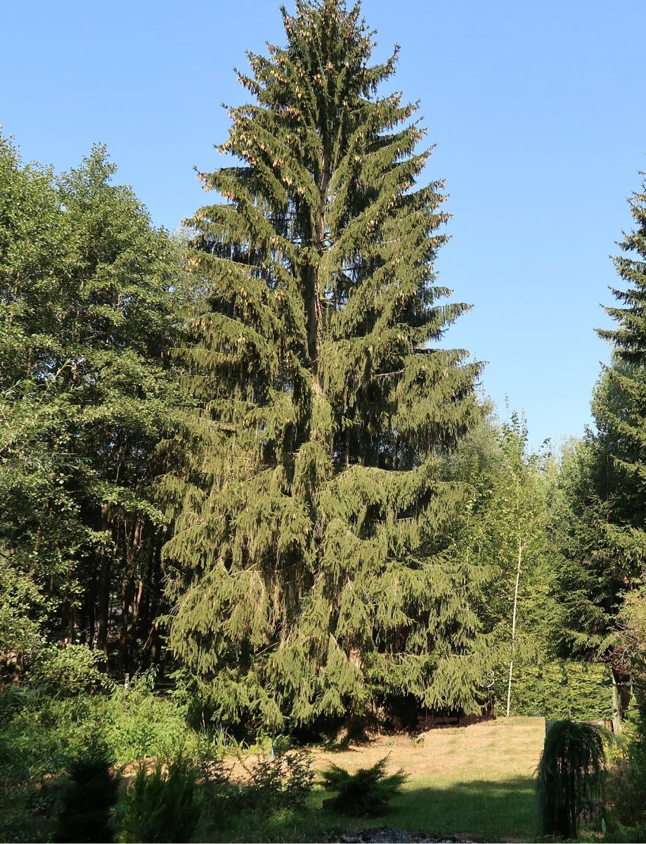 Prodej domu 2+1 67 m², Veselíčko – náhled fotky 20