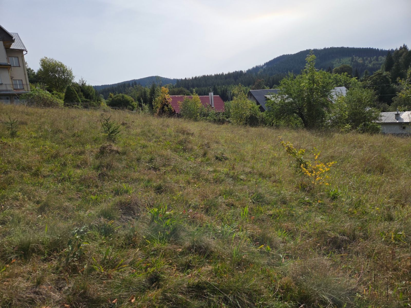 Prodej pozemku, Horní Bečva – náhled fotky 8