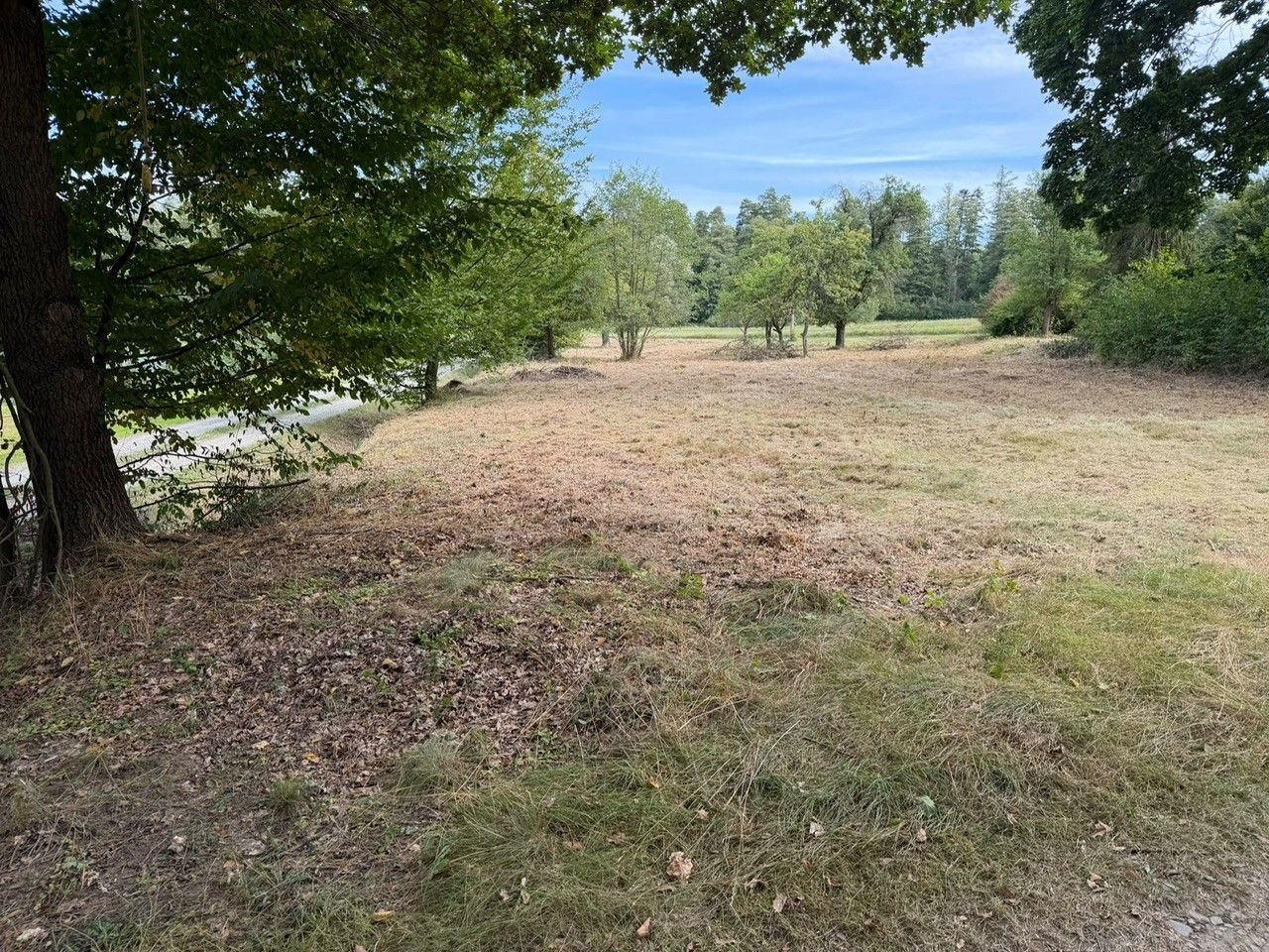 Litultovice - Litultovice, Moravskoslezský kraj – fotografie 4