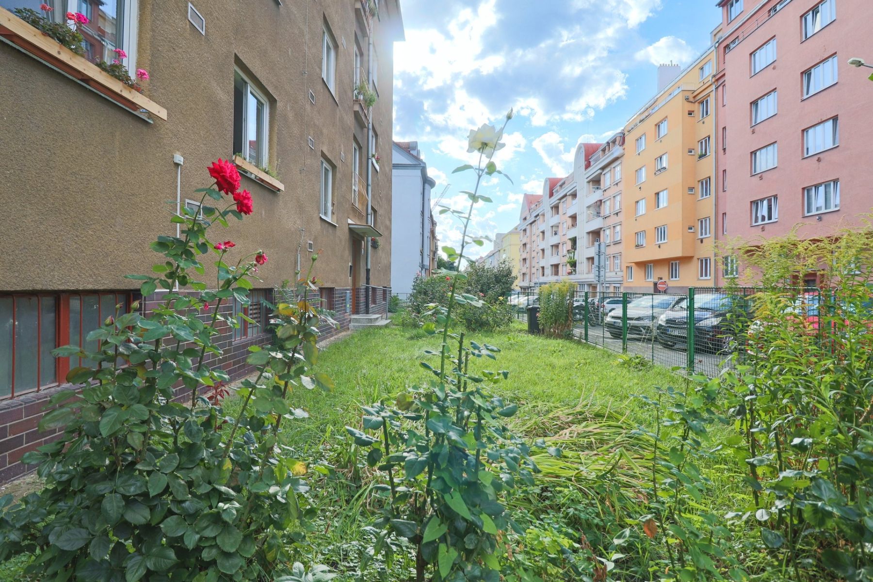 Pronájem bytu 2+1 59 m², Praha – náhled fotky 17