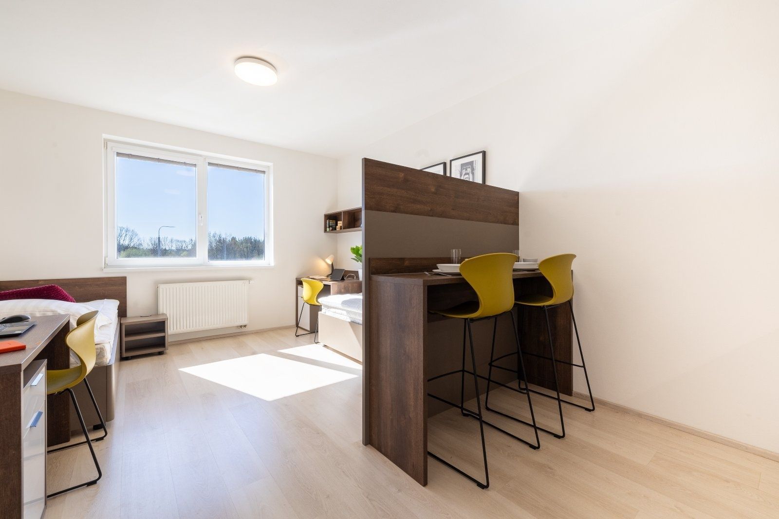 Pronájem bytu 1+kk 28 m², Plzeň – náhled fotky 4