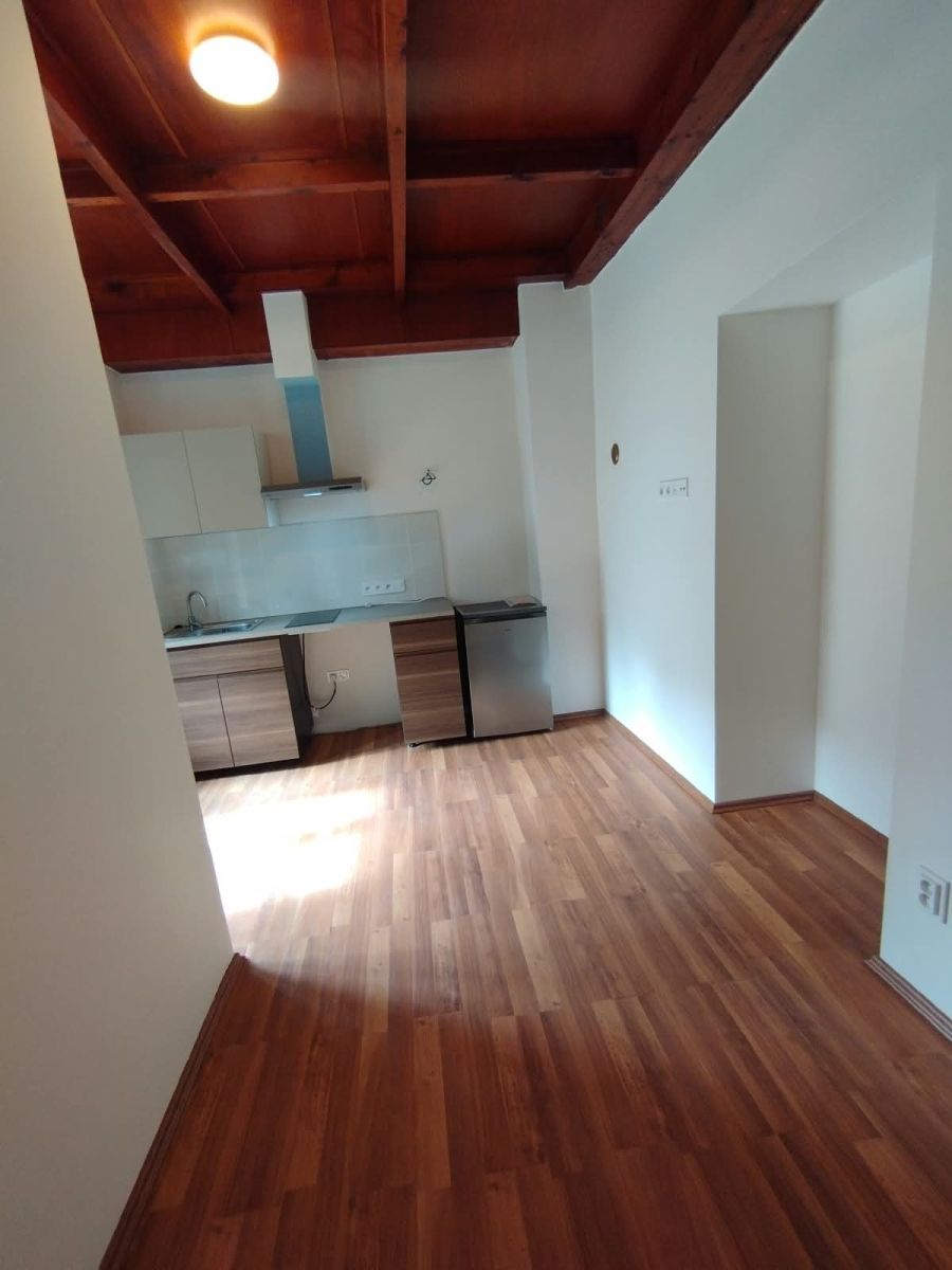 Pronájem bytu 1+kk 28 m², Škvorec – náhled fotky 14