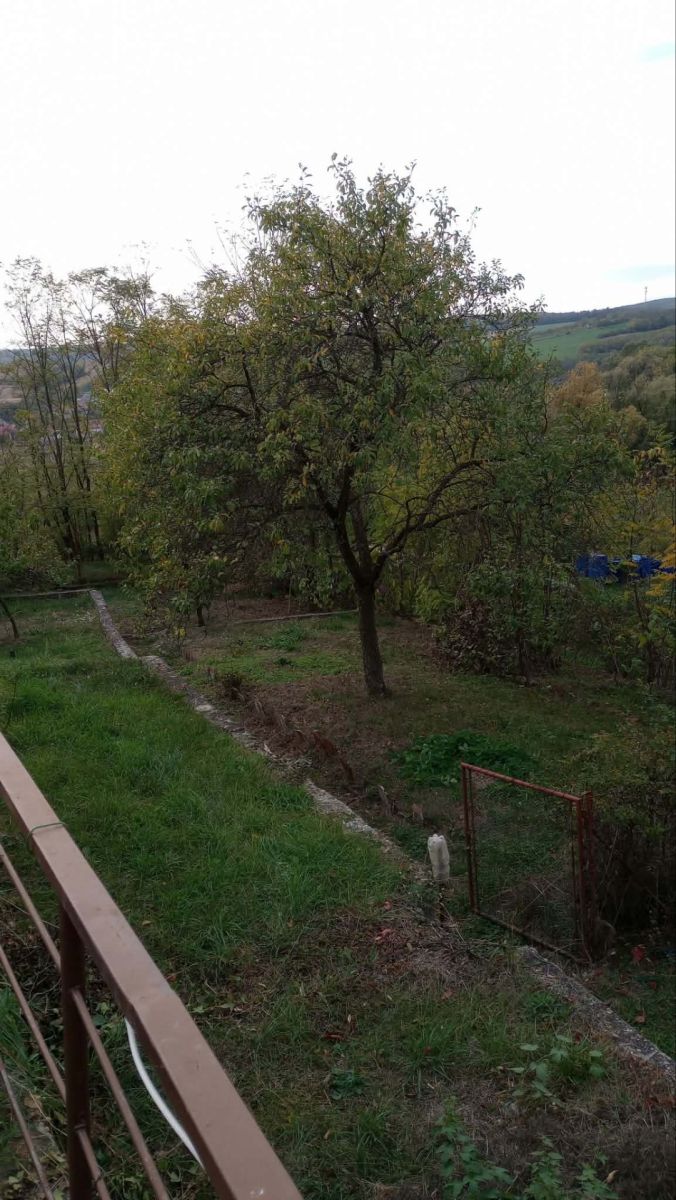 Prodej objektu 30 m², Dolní Kounice – náhled fotky 18