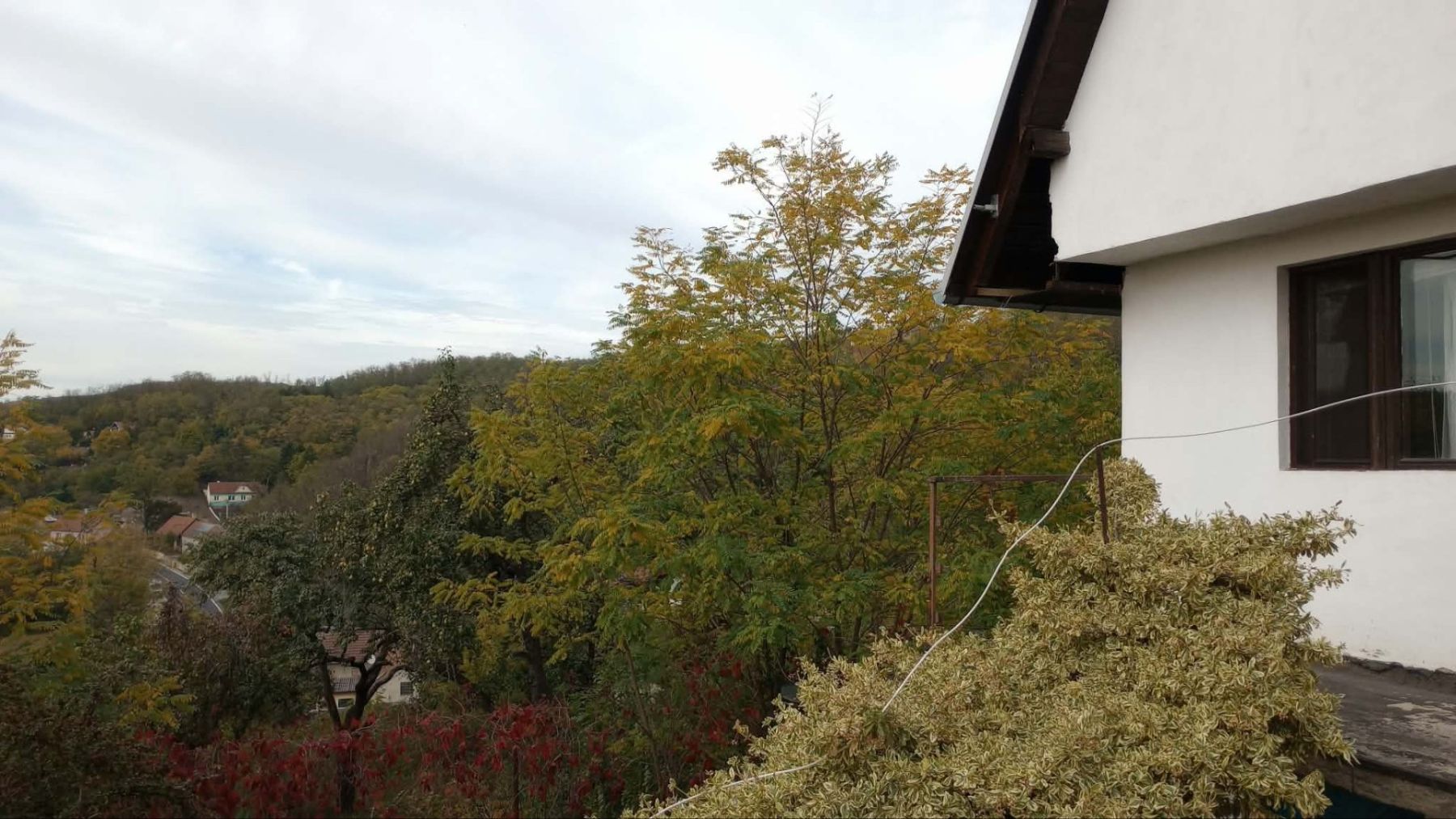 Prodej objektu 30 m², Dolní Kounice – náhled fotky 17