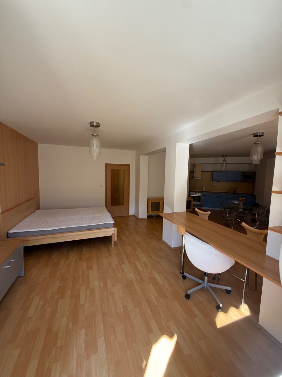 Pronájem bytu 1+kk 55 m², Poděbrady – náhled fotky 4
