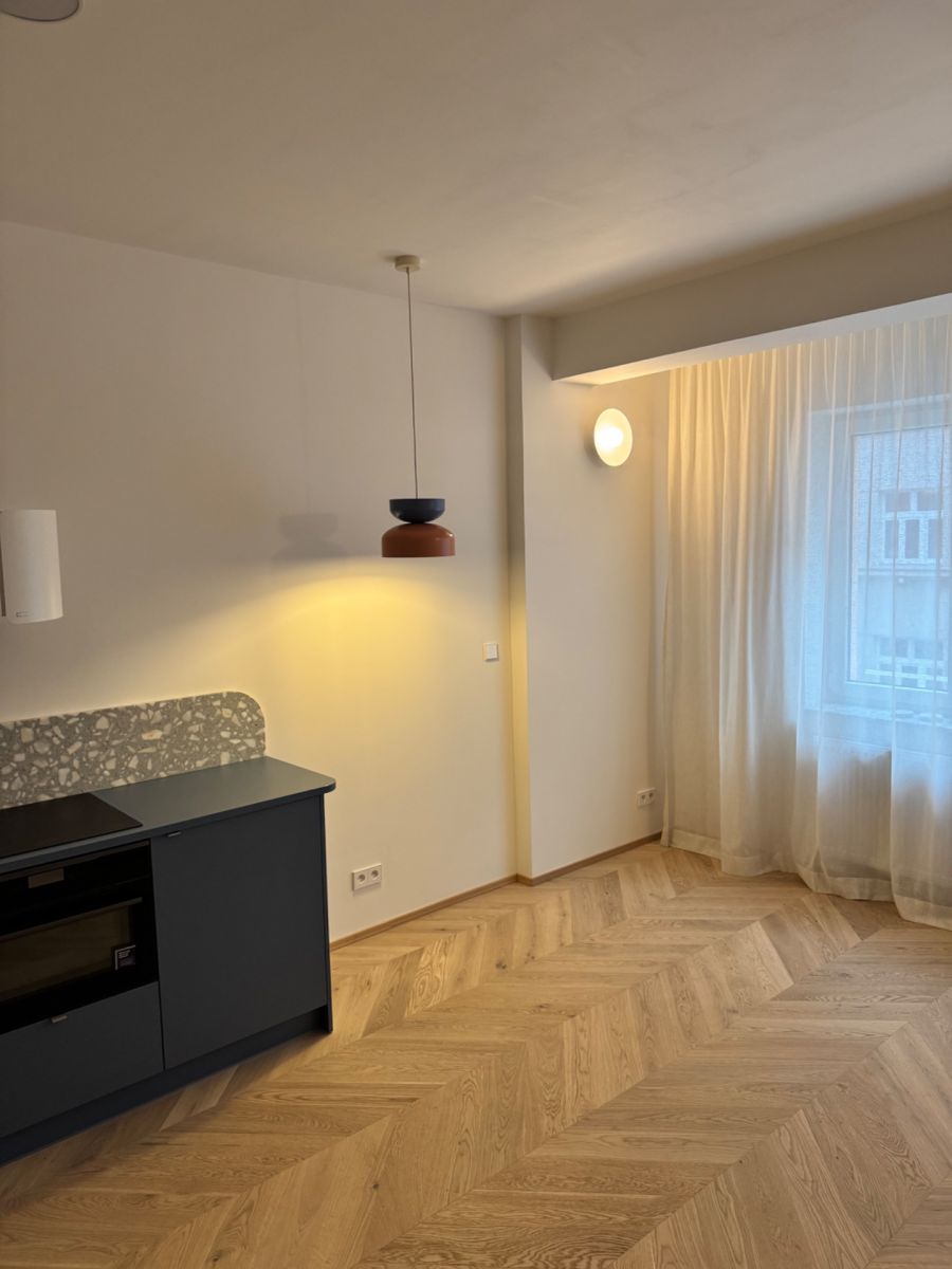 Viklefova, Praha - Žižkov – fotografie 2