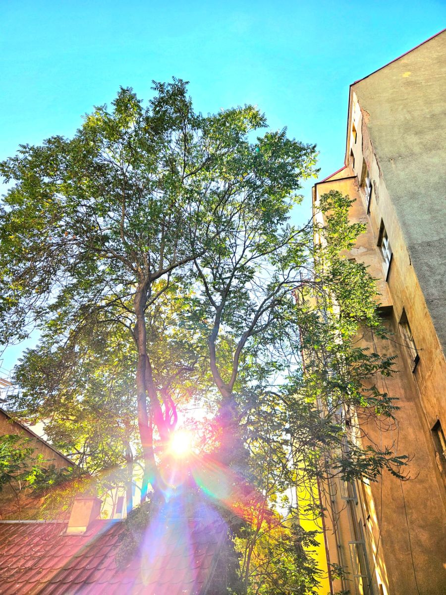 Krásova, Praha - Žižkov