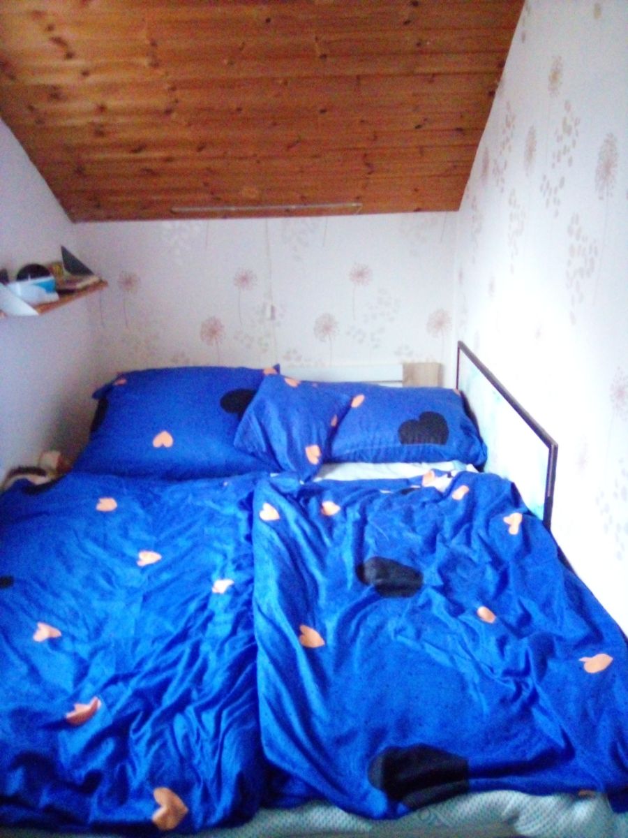 Prodej objektu 52 m², Klecany – náhled fotky 13