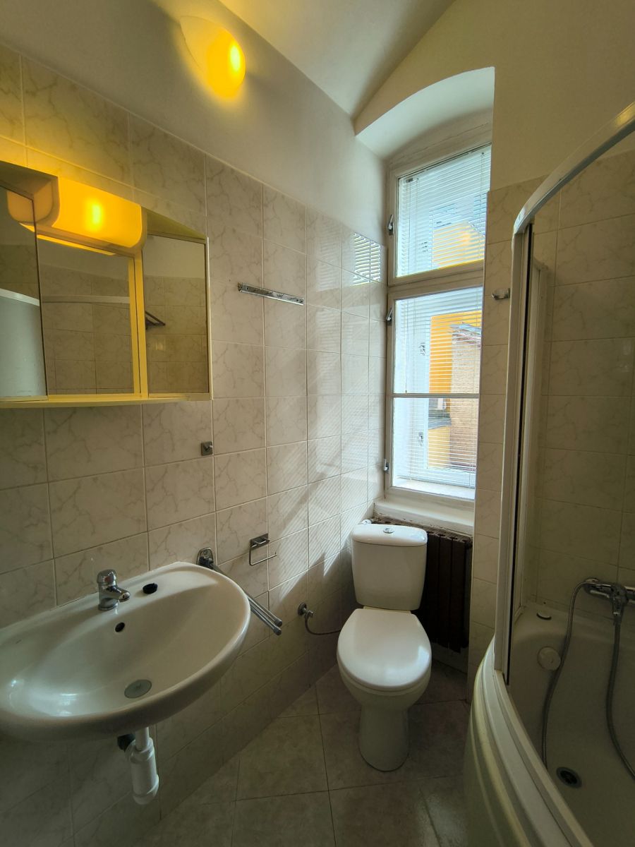 Pronájem bytu 2+1 55 m², Praha – náhled fotky 7