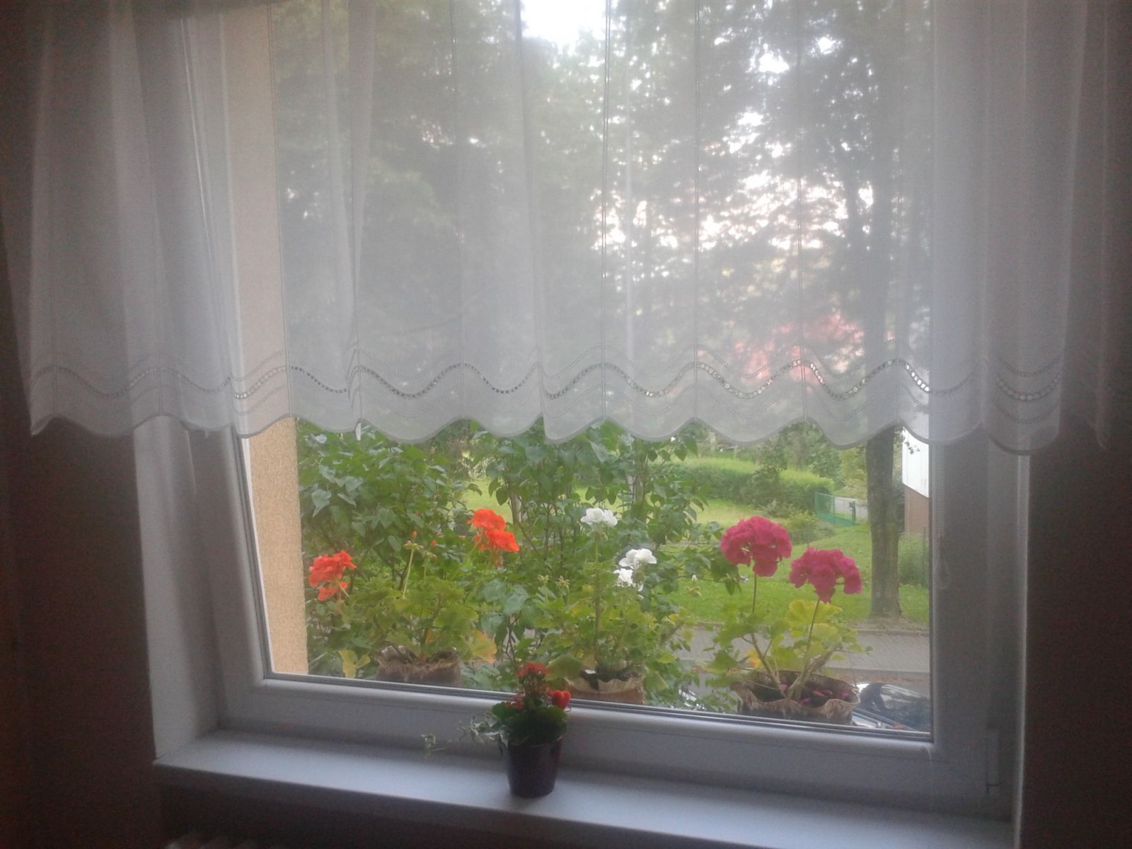 . května, Rožnov pod Radhoštěm - Rožnov pod Radhoštěm, Zlínský kraj