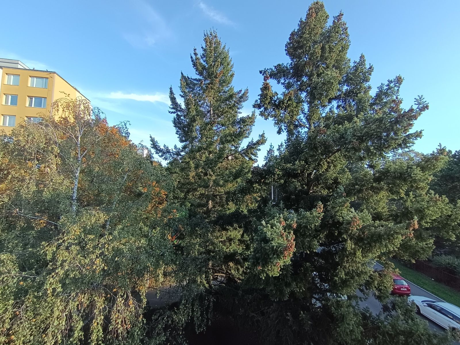Prodej bytu 3+kk 62 m², Praha – náhled fotky 19