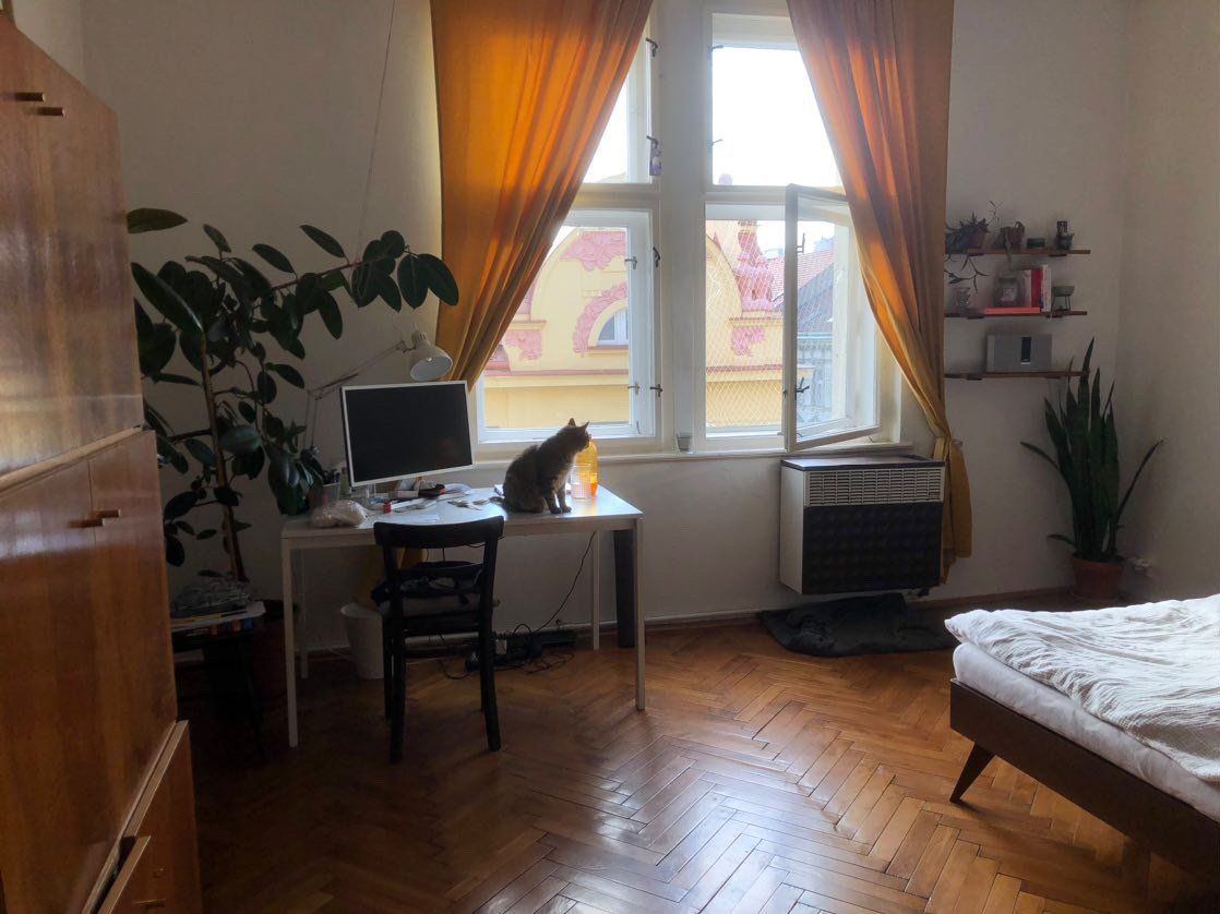 U Studánky, Praha - Bubeneč – fotografie 5