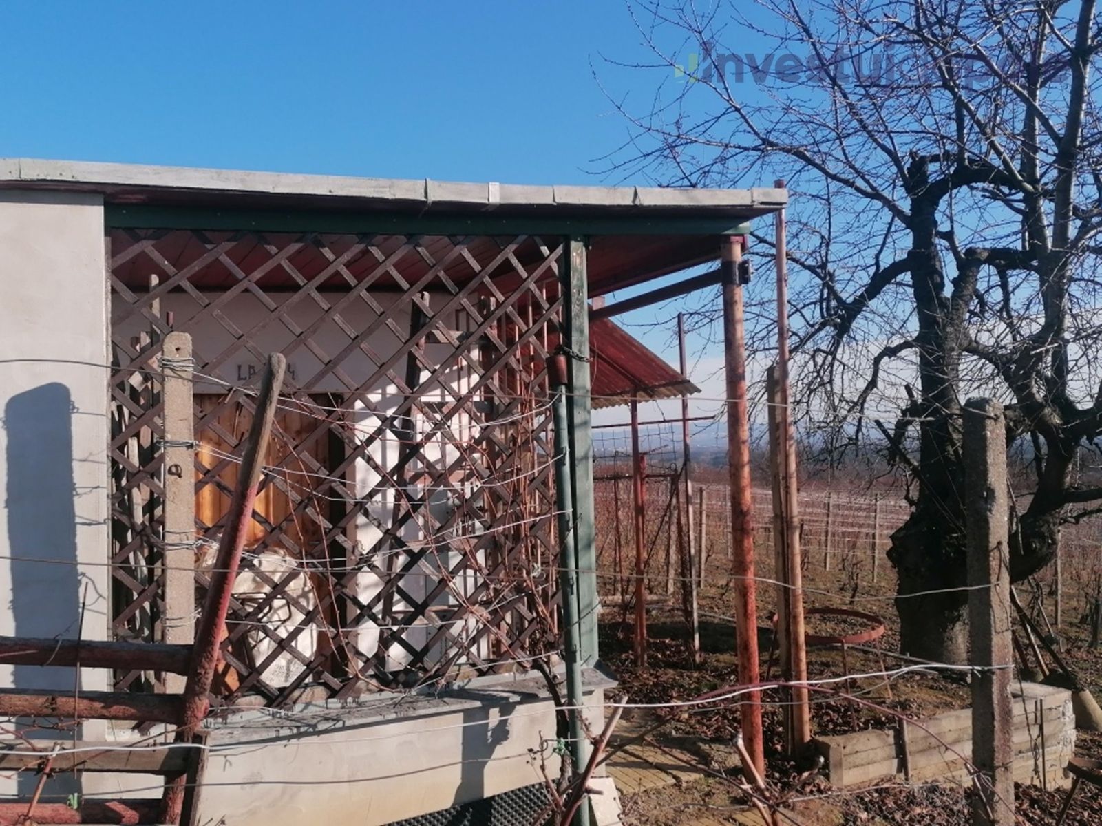 Prodej pozemku, Bzenec – náhled fotky 6