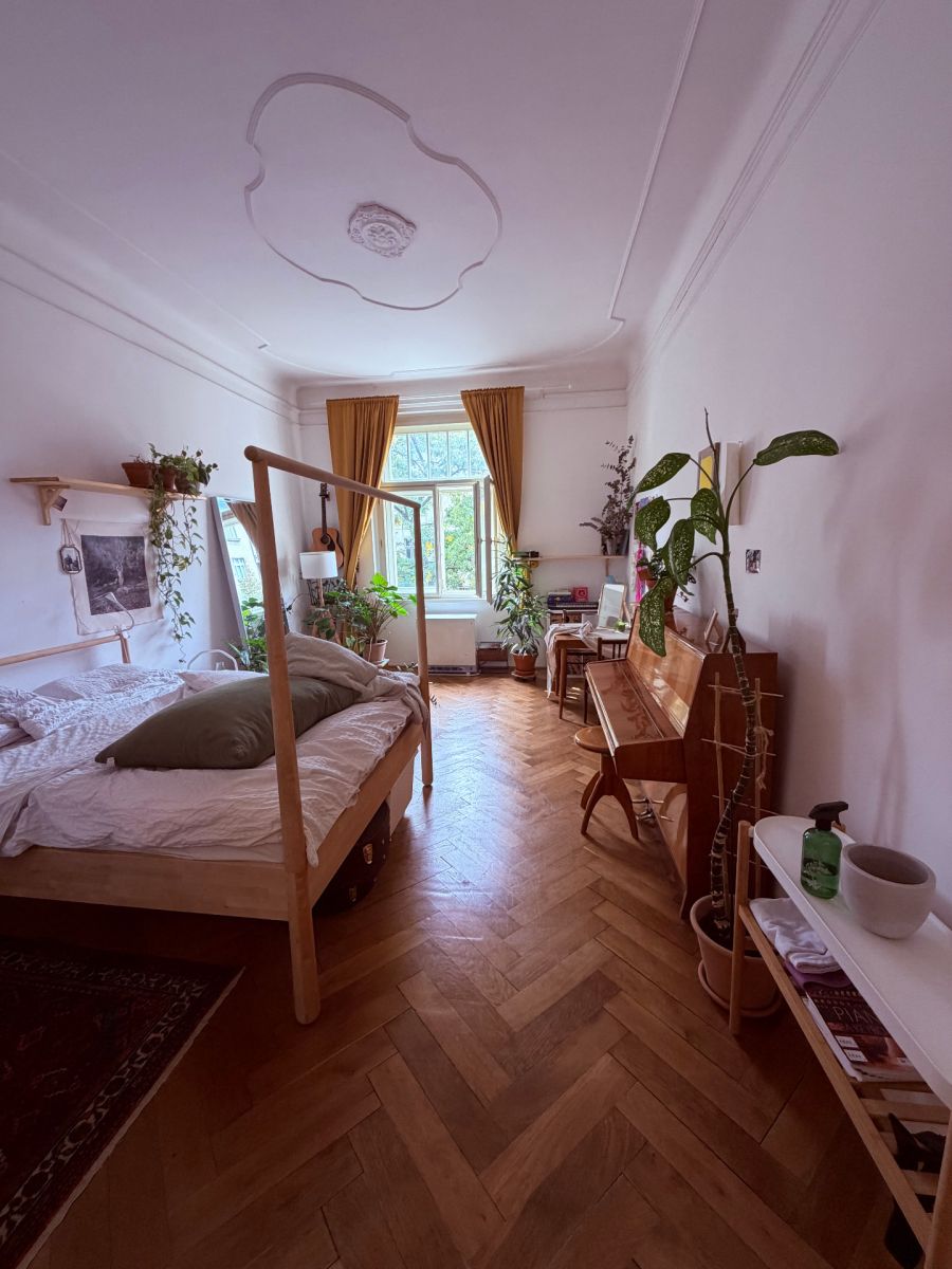 Čechova, Praha - Bubeneč – fotografie 2