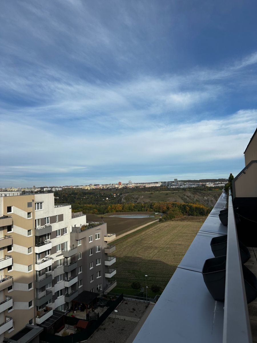 Pronájem bytu 2+kk, 50 m², Praha
