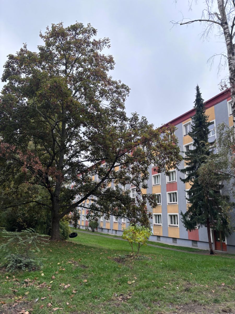 Pronájem bytu 2+1 52 m²