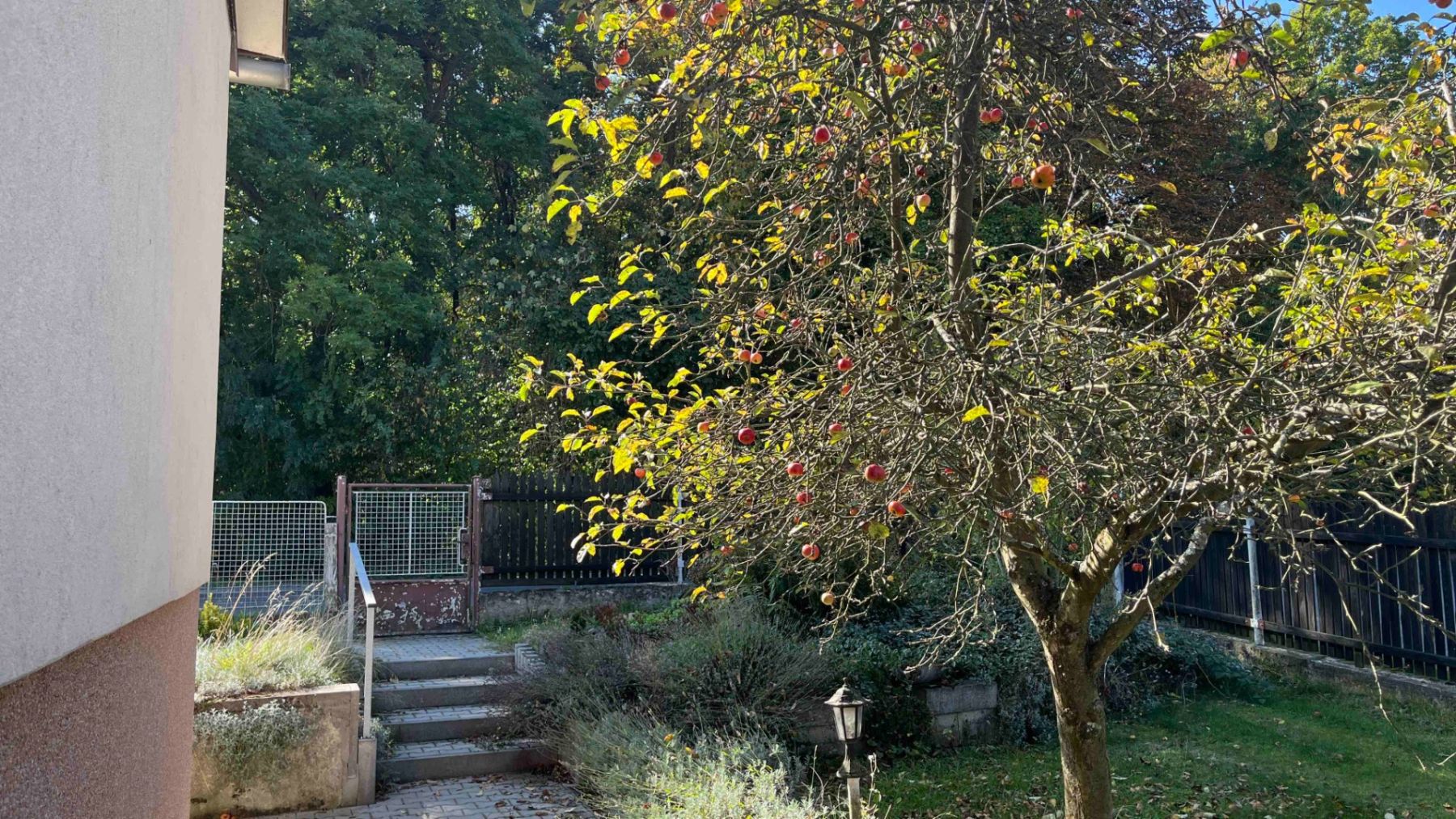 Lesní, Lány - Lány, Středočeský kraj – fotografie 5