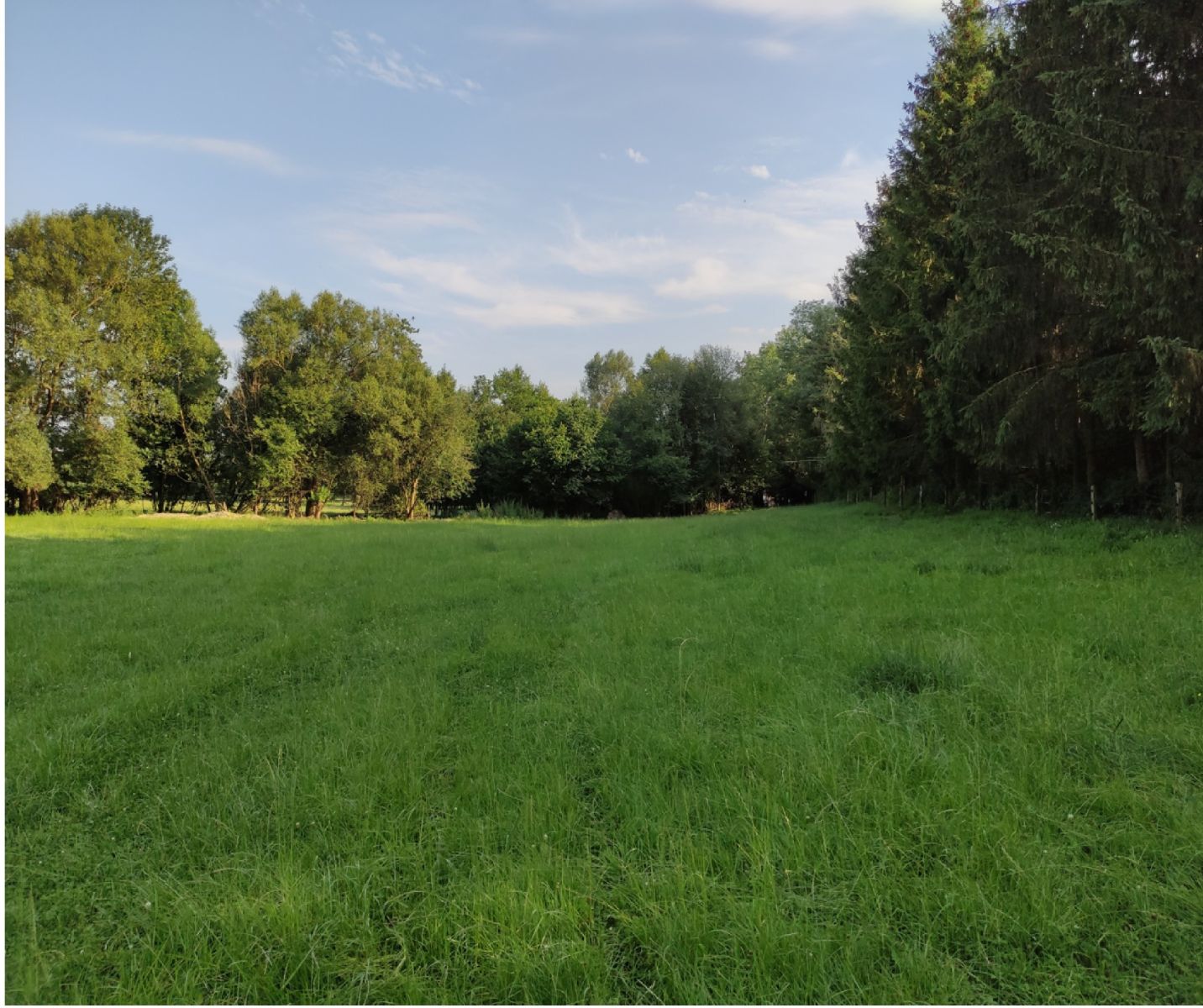 Vysoké Mýto - Vysoké Mýto, Pardubický kraj – fotografie 2