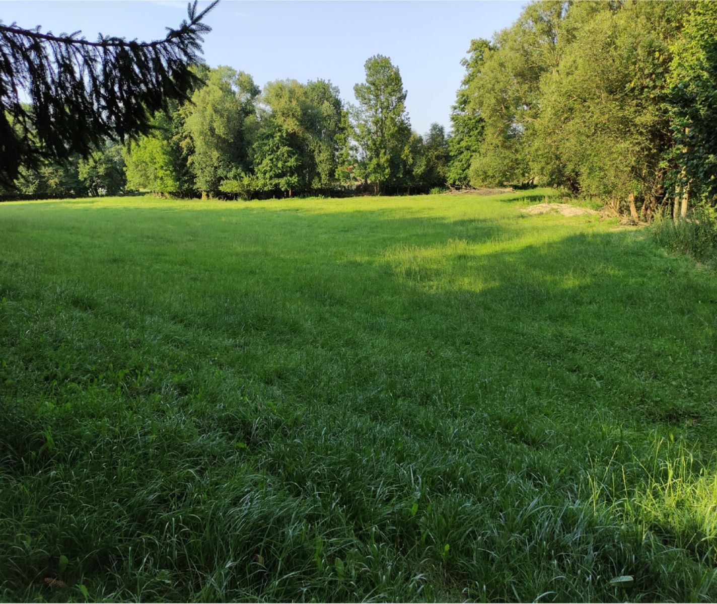 Vysoké Mýto - Vysoké Mýto, Pardubický kraj – fotografie 3