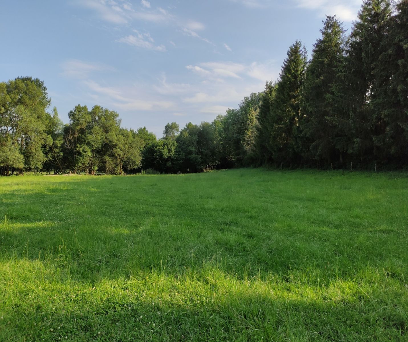 Vysoké Mýto - Vysoké Mýto, Pardubický kraj – fotografie 4