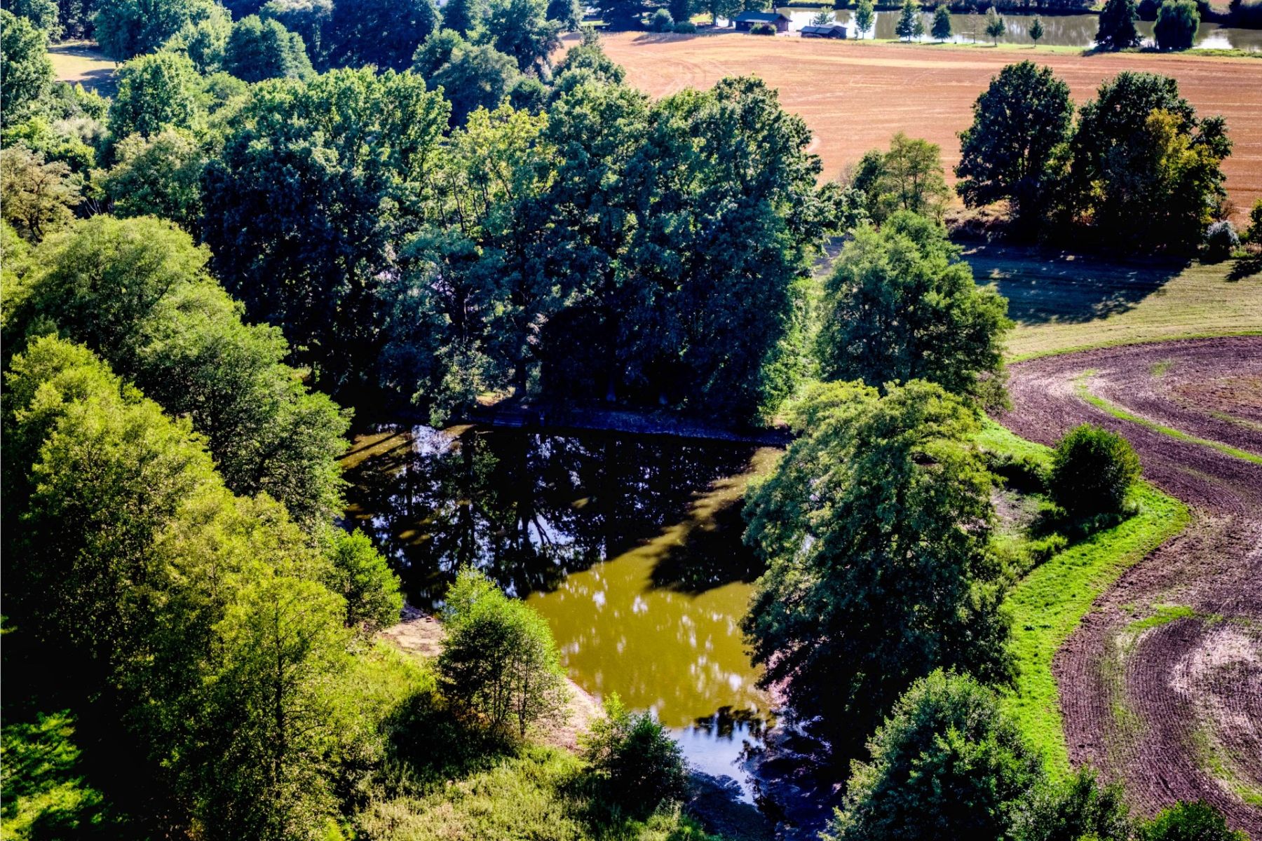 Lásenice - Lásenice, Jihočeský kraj – fotografie 3