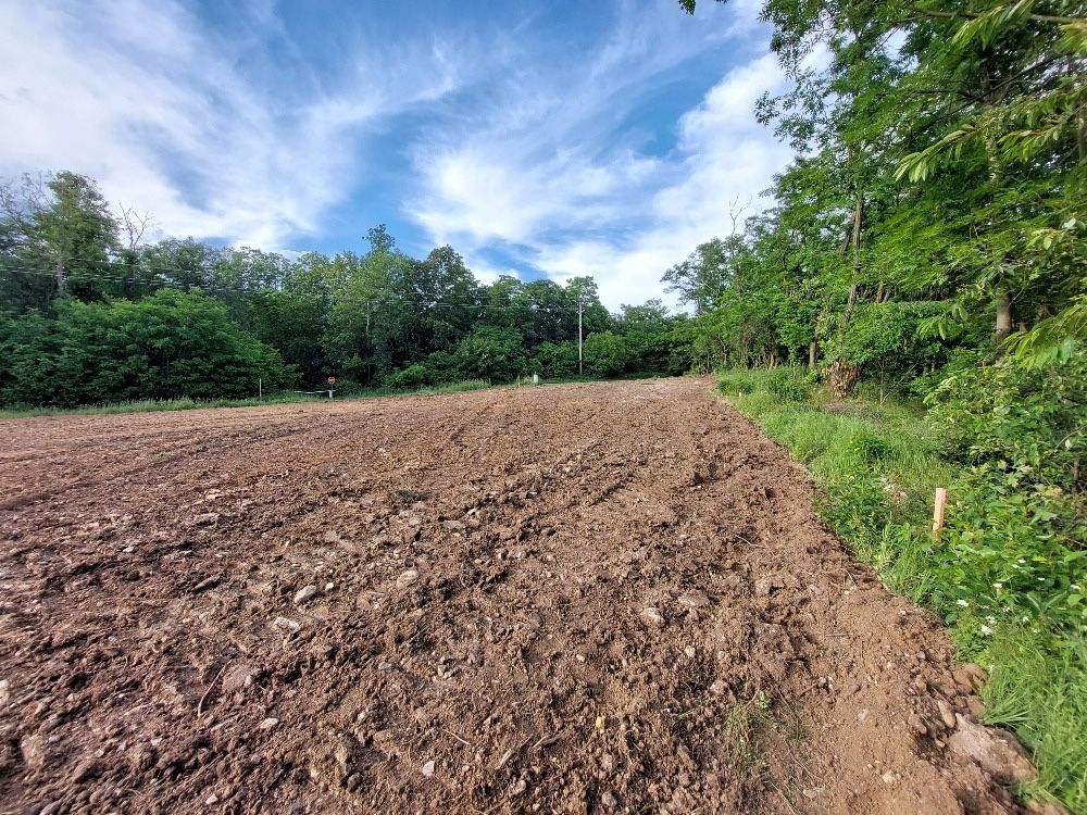 Hořanská cesta, Most - Most II, Ústecký kraj – fotografie 4