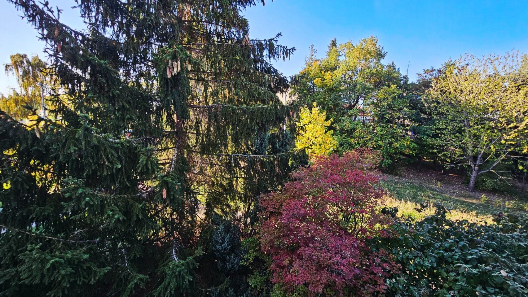 Prodej bytu 3+1 82 m², Praha – náhled fotky 13
