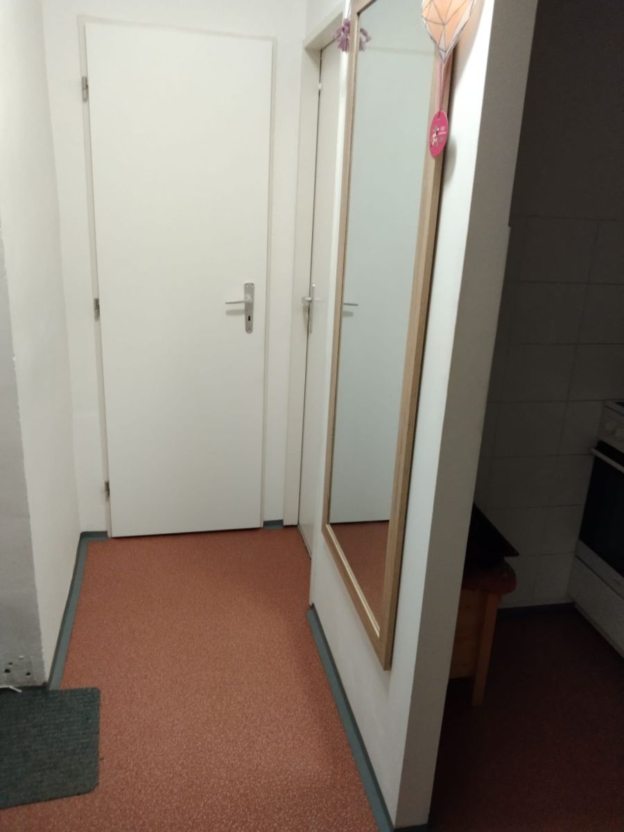 Pronájem bytu 2+kk 40 m², Kamenný Přívoz – náhled fotky 4