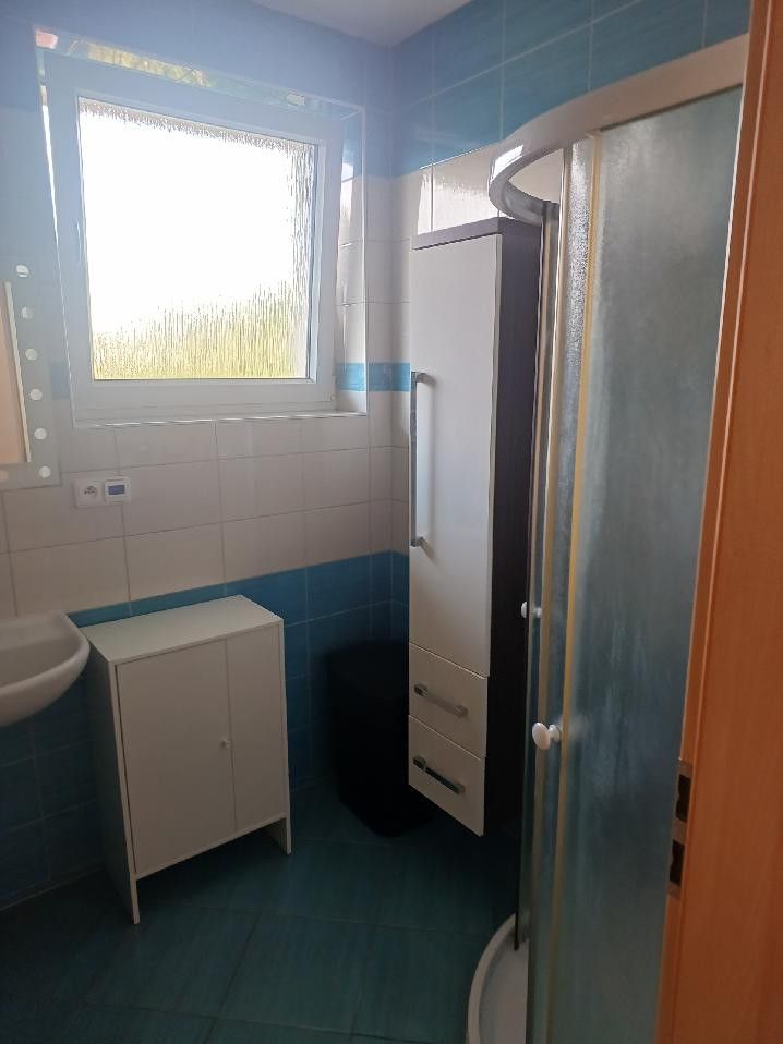 Pronájem bytu 2+kk 50 m², Praha – náhled fotky 5