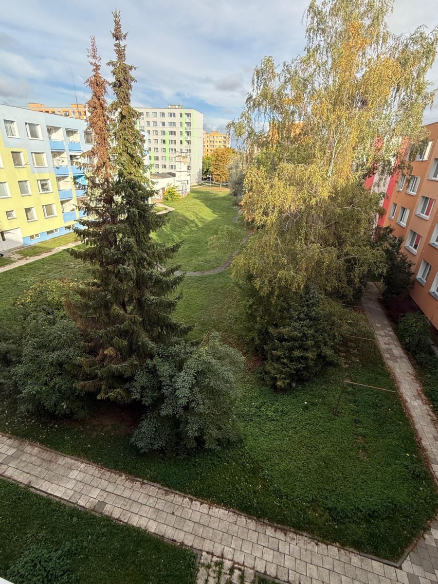 Zikova, Olomouc - Nové Sady u Olomouce, Olomoucký kraj – fotografie 4