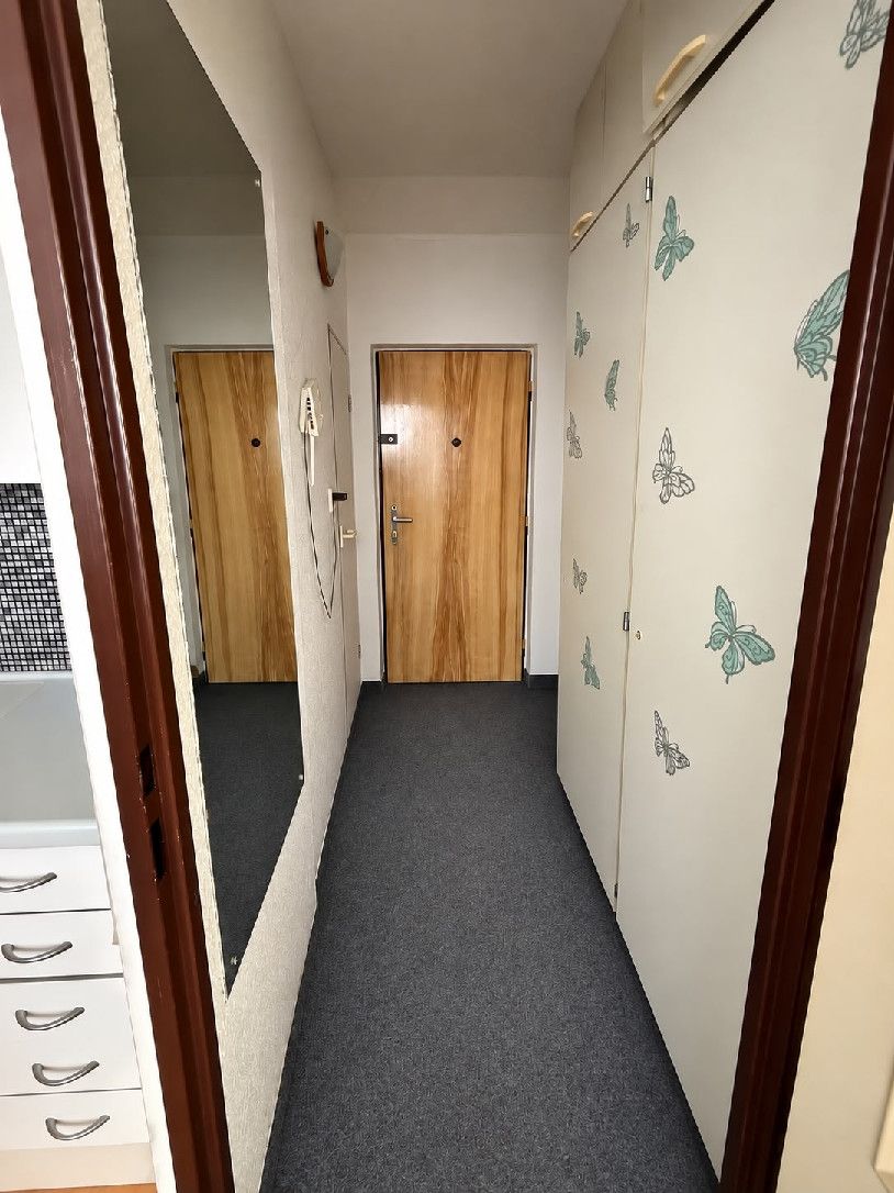 Pronájem bytu 1+1 36 m², Louny – náhled fotky 4