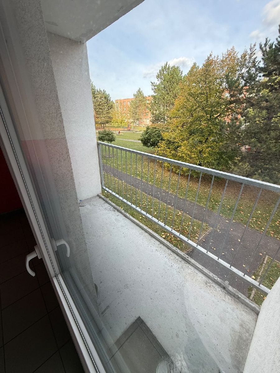 Pronájem bytu 1+1 36 m², Louny – náhled fotky 5