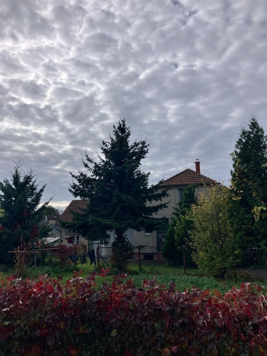 Prodej domu 4+1 196 m², Poděbrady – náhled fotky 2