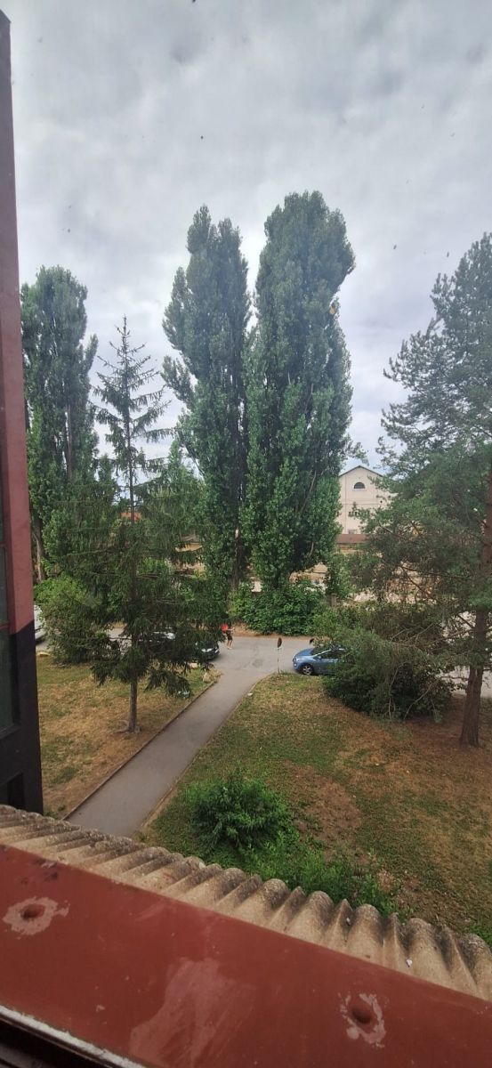 Pronájem komerčního prostoru 126 m², Praha – náhled fotky 5