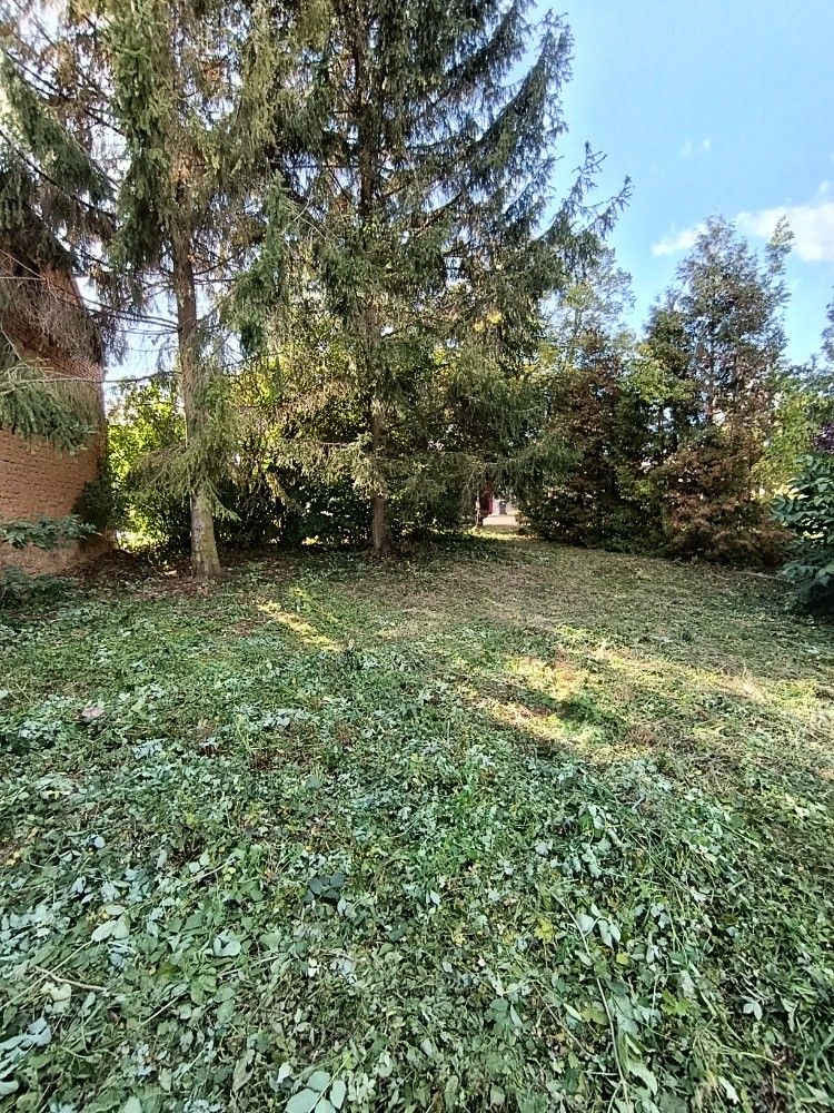 Prodej pozemku, Hluchov – náhled fotky 2