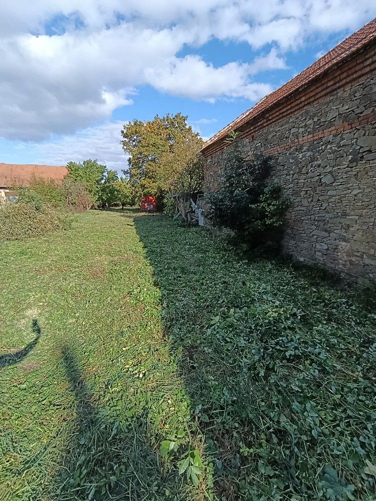 Prodej pozemku, Hluchov – náhled fotky 6