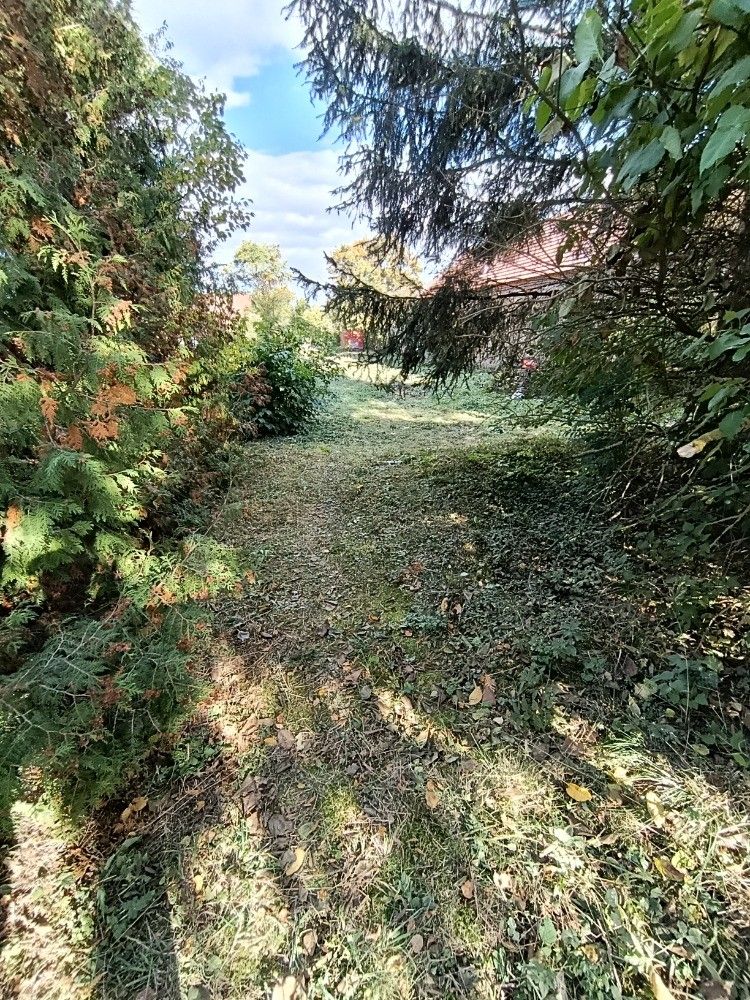 Prodej pozemku, Hluchov – náhled fotky 4