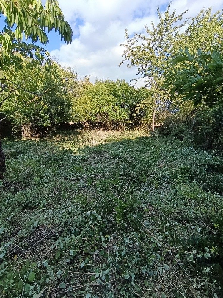 Prodej pozemku, Hluchov – náhled fotky 9