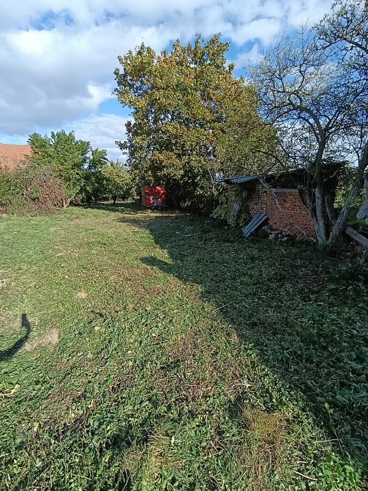 Prodej pozemku, Hluchov – náhled fotky 7