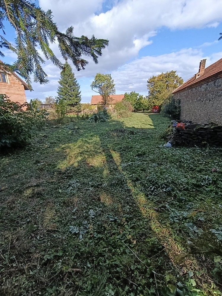 Prodej pozemku, Hluchov – náhled fotky 5