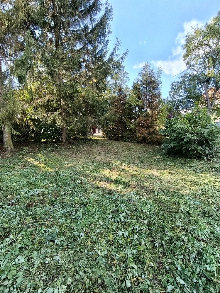 Prodej pozemku, Hluchov – náhled fotky 3