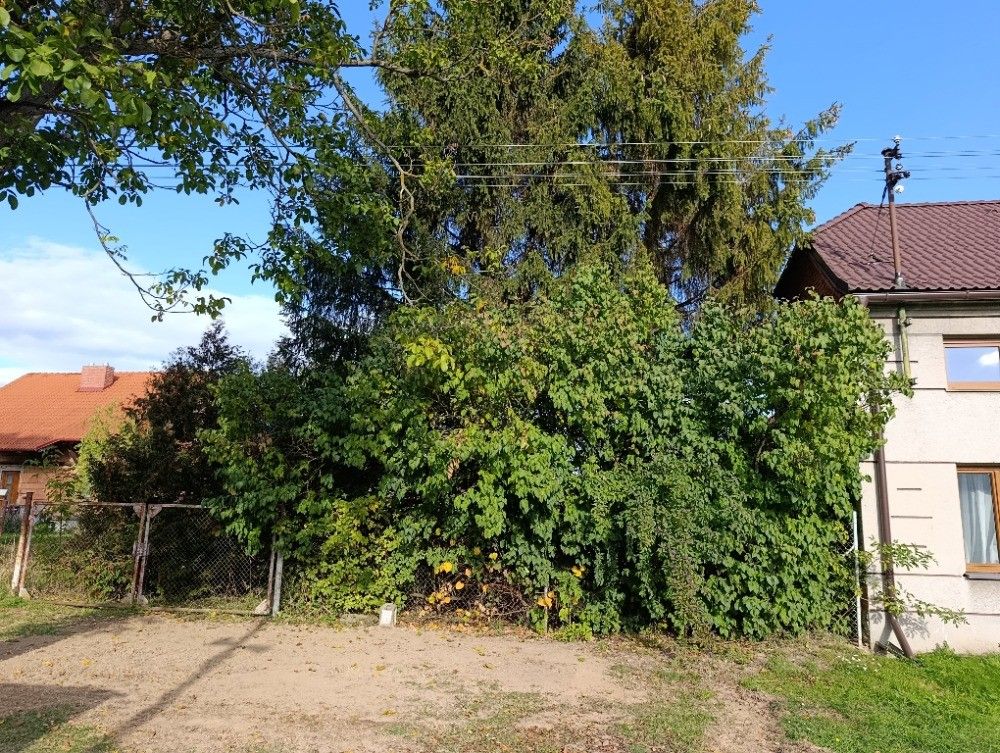 Prodej pozemku, Hluchov – náhled fotky 15